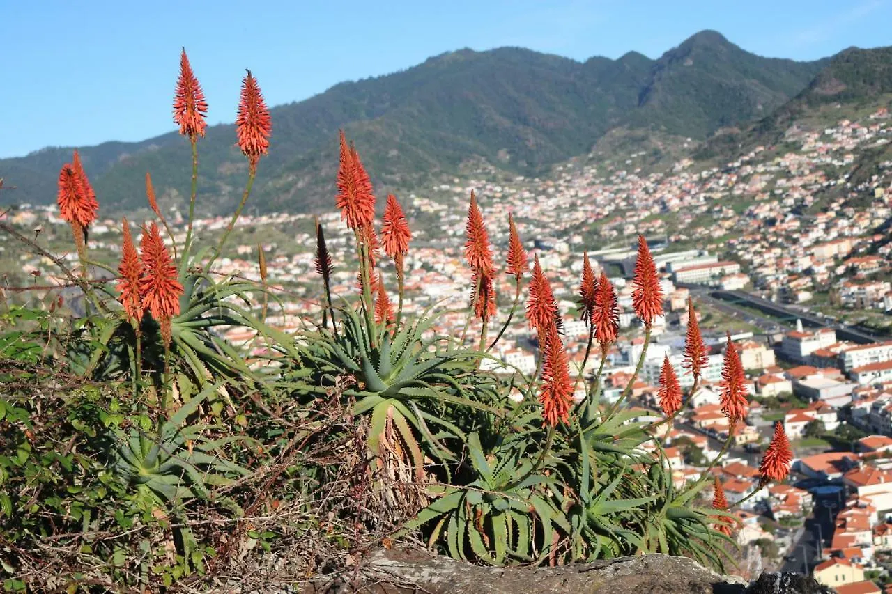 Spot Matur Apartment Machico  0*, Machico (Madeira)